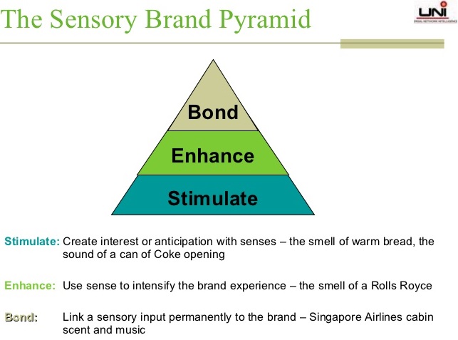 sensory-brand-pyramid