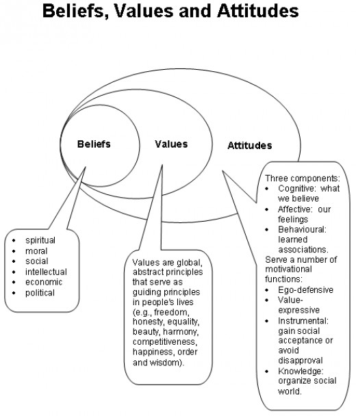 case study on values in organisational behaviour