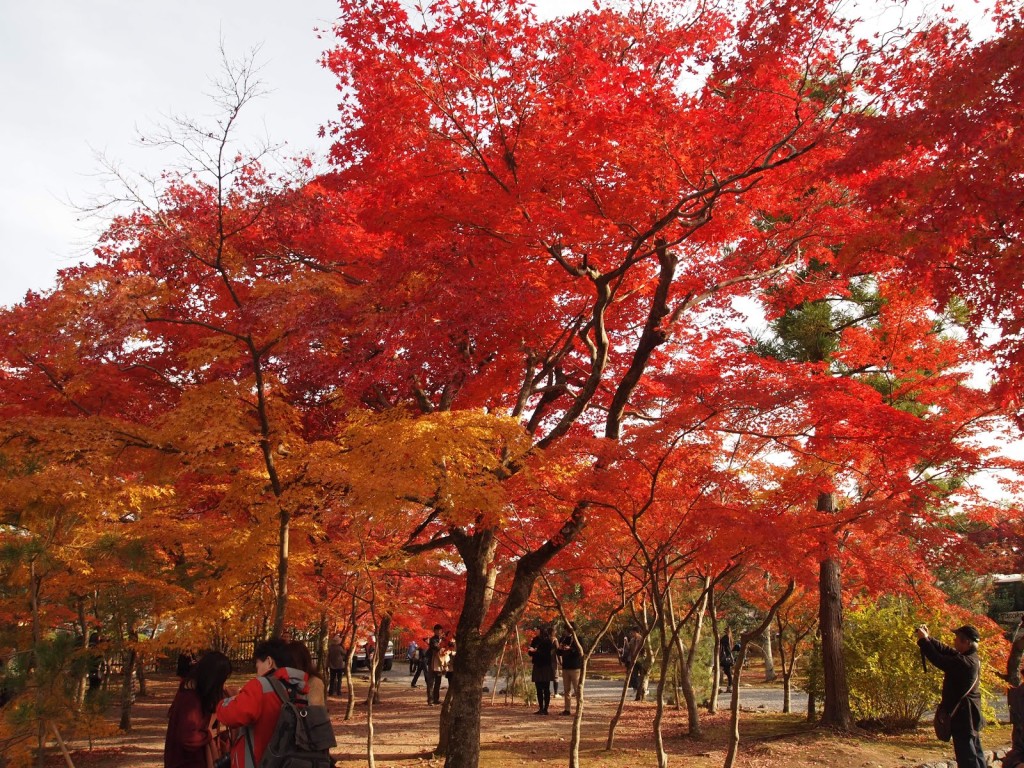 Wabi-Sabi Japanese Aesthetics Autumn Leaves