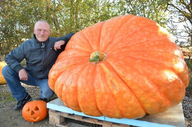 Secrets of Giant Pumpkin Farmers