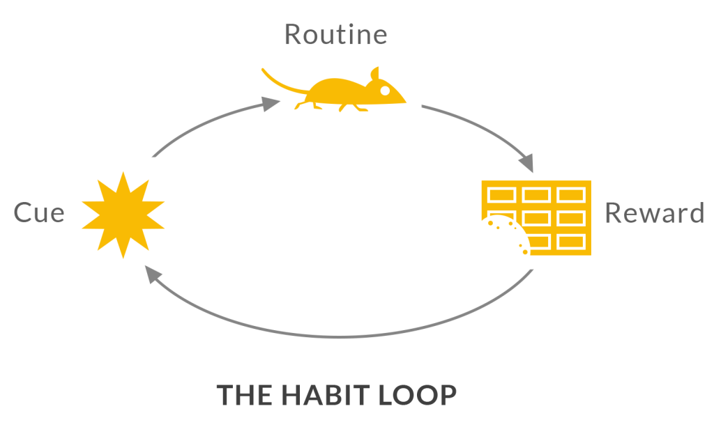 The Habit Loop