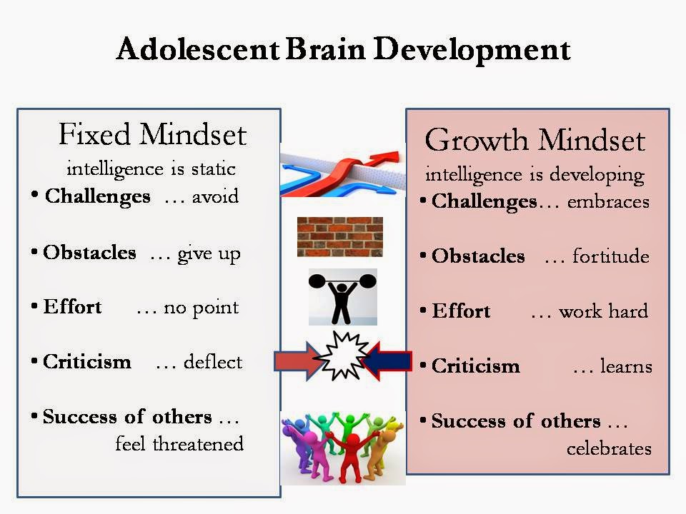 Have You Got a Successful Mindset? | Cooler Insights