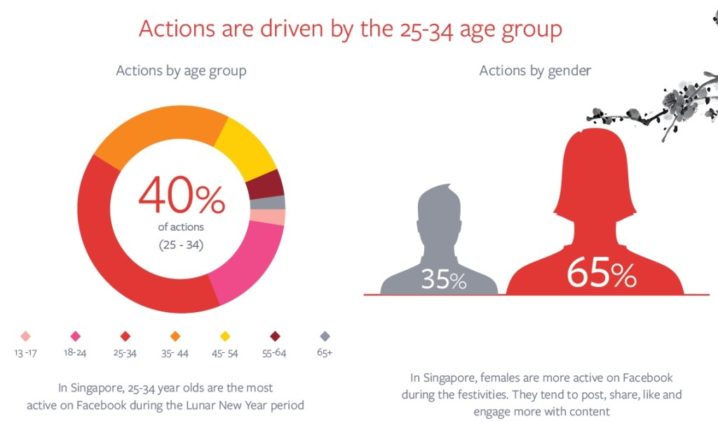 CNY Facebook demographics Singapore