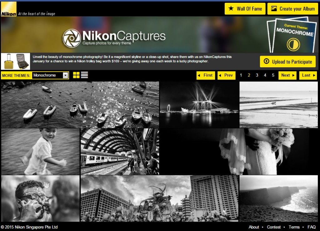 Nikon Captures Photo Contest