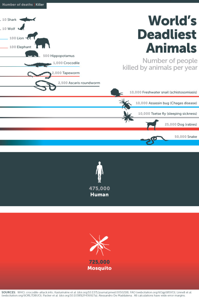 Death by Animals