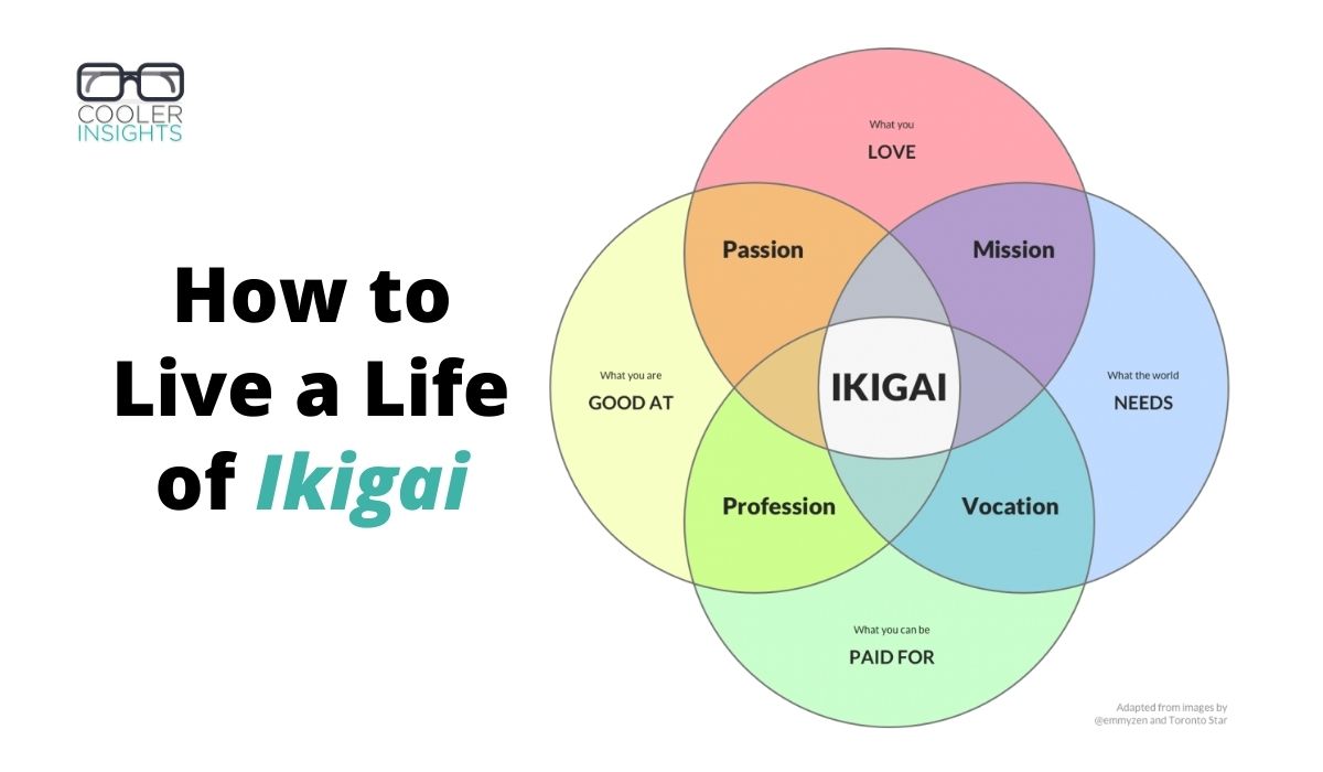 Resumo e infográfico do livro Ikigai